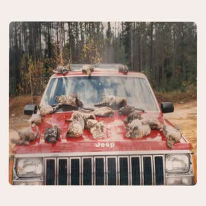 Are sing sinck, sing